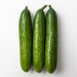 Dark Green Cucumber 25 PCS Seeds