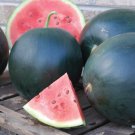 Dark Gray Skin Red Watermelon 20 PCS Seeds Dark Gray Skin Red Watermelon 20 PCS Seeds