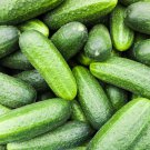 Cucumber Dark Green Crisp Barbed Vegetable 20 PCS Seeds Cucumber Dark Green Crisp Barbed Vegetable 20 PCS Seeds