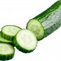 Cucumber Dark Green Crisp Barbed Vegetable 20 PCS Seeds