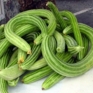 Cucumber Armenia Vegetable 50 PCS Seeds
