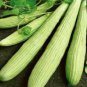 Cucumber Armenia Vegetable 50 PCS Seeds