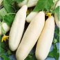Cucumber Long White Wonder 10 PCS Seeds