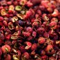 Corn Chinese Prickly Ash 100 PCS Seeds