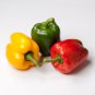 Colorful Sweet Pepper High-quality Multicolored Pepper  25 PCS Seeds