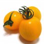Colorful Small Cherry Tomato Organic 20 PCS Seeds