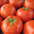 Colorful F2 Big Tomato 30 PCS Seeds