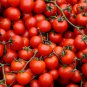 'Colorful Cherry' Indeterminate Tomato Organic 300 PCS Seeds