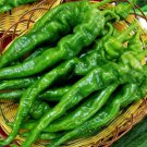 'Chitterlings' Green Red Hot Pepper Vegetable 30 PCS Seeds 'Chitterlings' Green Red Hot Pepper Vegetable 30 PCS Seeds