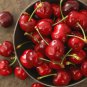 Chinese Red Sweet Cherry Fruit 20 PCS Seeds