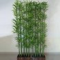 Chinese Mini Moso Bamboo Phyllostachys heterocycla Pubescens-Giant 20 PCS Seeds