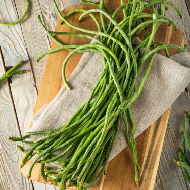 Chinese Green Long Cowpea Vegetable 20 PCS Seeds