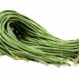 Chinese Green Long Cowpea Vegetable 20 PCS Seeds