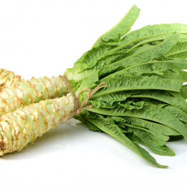 Chinese Green Asparagus Lettuce 30 PCS Seeds