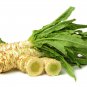 Chinese Green Asparagus Lettuce 30 PCS Seeds