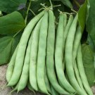 Chinese Bean Contains Rich Oil Green Chinese Vegetables 15 PCS Seeds Chinese Bean Contains Rich Oil Green Chinese Vegetables 15 PCS Seeds