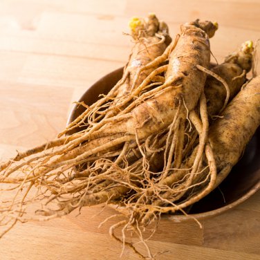 Chinese korean Panax Ginseng 10 PCS Seeds