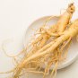 Chinese korean Panax Ginseng 10 PCS Seeds