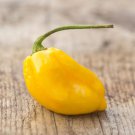 Chili Habanero Lemon Hot Pepper yellow organic non-gmo vegetables 15 PCS Seeds