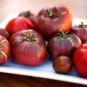 Cherokee Cherry Tomato 20 PCS Seeds