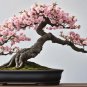 Cherry Bonsai Bonsai Tree Japanese New Blossoms Sakura 20 PCS Seeds