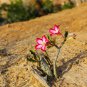 'Changing Faces' Adenium Desert Rose 2 PCS Seeds