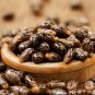 Castor Bean 100 PCS Seeds