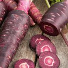Carrot Purple Sun F1 Professional Pack organic tasty vegetables 500 PCS Seeds Carrot Purple Sun F1 Professional Pack organic tasty vegetables 500 PCS Seeds