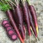 Carrot Purple Sun F1 Professional Pack organic tasty vegetables 500 PCS Seeds