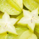 Carambola 50 PCS Seeds
