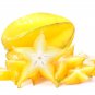 Carambola 50 PCS Seeds