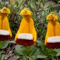 Calceolaria Uniflora Bonsai Flowers 100 PCS Seeds