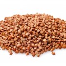 Buckwheat Edible Green Herb Foods 30 PCS Seeds Buckwheat Edible Green Herb Foods 30 PCS Seeds