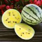 Bright Yellow Watermelon 40 PCS Seeds