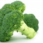 Broccoli Early White Sprouting Green Vegetable 120 PCS Seeds
