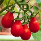 Bright Red Pear Cherry Tomato Organic 200 PCS Seeds