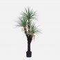 Bonsai Tree Yucca DIY Potted Plants 50 PCS Seeds