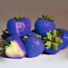 Blue Strawberry 500 PCS Seeds
