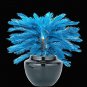 Blue Cycas Sago Palm Tree Plant Cycas Tree Bonsai 10 PCS Seeds
