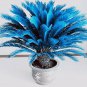Blue Cycas Sago Palm Tree Plant Cycas Tree Bonsai 10 PCS Seeds