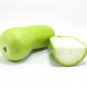 Blue Orange Purple Bottle Gourd 6 PCS Seeds