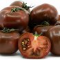 BlackRed Tomato Coffee Bean Chinese Yam Watermelon Flowers 50 PCS Seeds