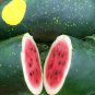 Black Skin Long Red Watermelon 30 PCS Seeds