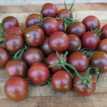 Black Royal Little Cherry Tomato Organic 100 PCS Seeds