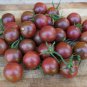 Black Royal Little Cherry Tomato Organic 100 PCS Seeds