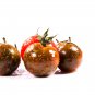 Black Krim Giant Tomato Organic 10 PCS Seeds