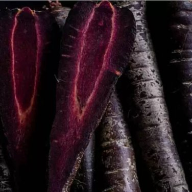 Black Nebula Carrot 100 PCS Seeds