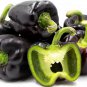 Black Giant Sweet Bell Pepper Hybrid F1 Vegetables 50 PCS Seeds