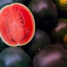 Black Diamond Watermelon Black Skin Red Inside Fruits Thin Skin 50 PCS Seeds