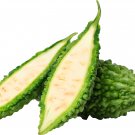 Bitter Melon Balsam Pear Fruit 6 PCS Seeds